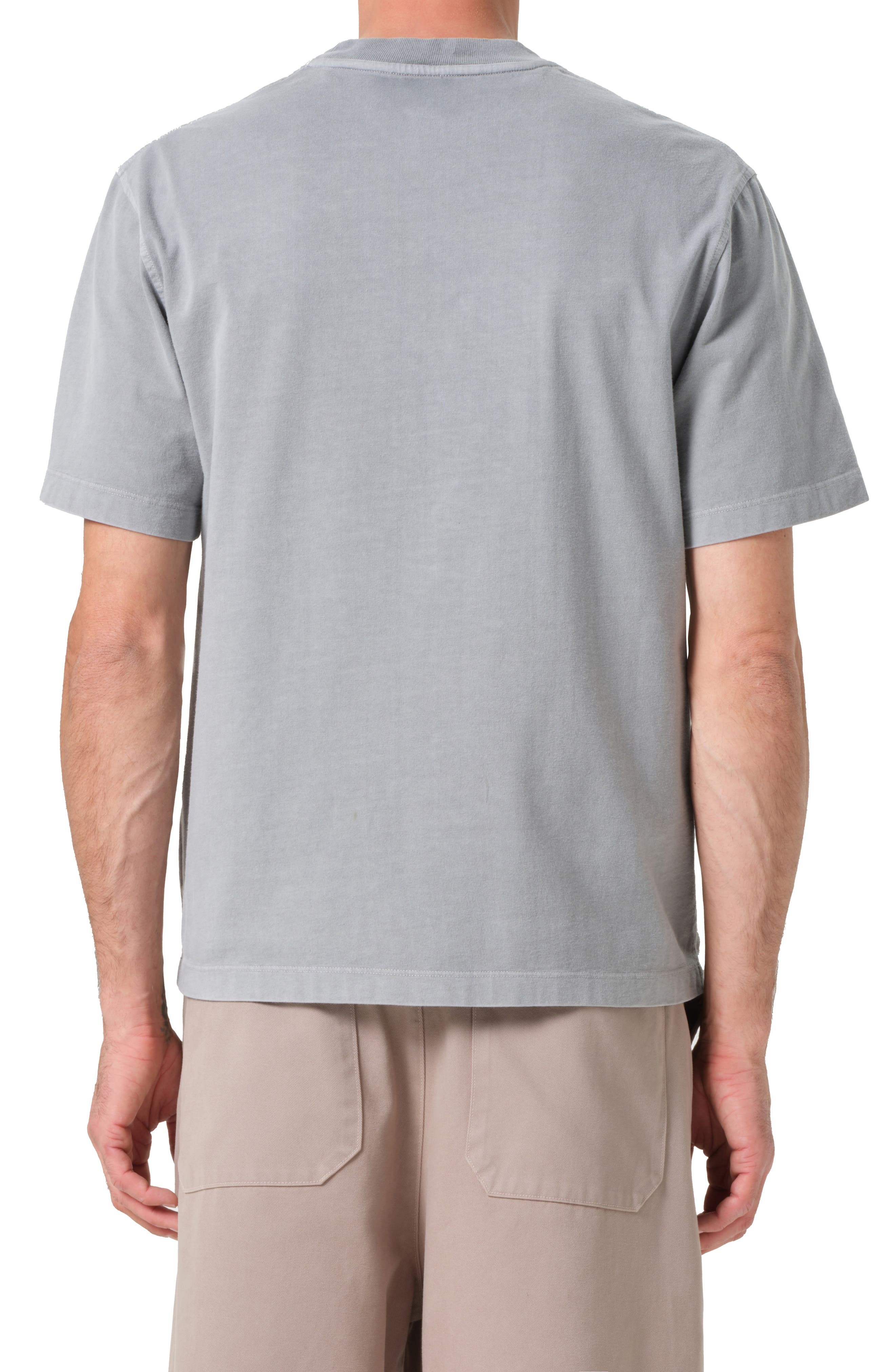 AGOLDE Asha Crewneck T-Shirt in Patagonia at Nordstrom - 2