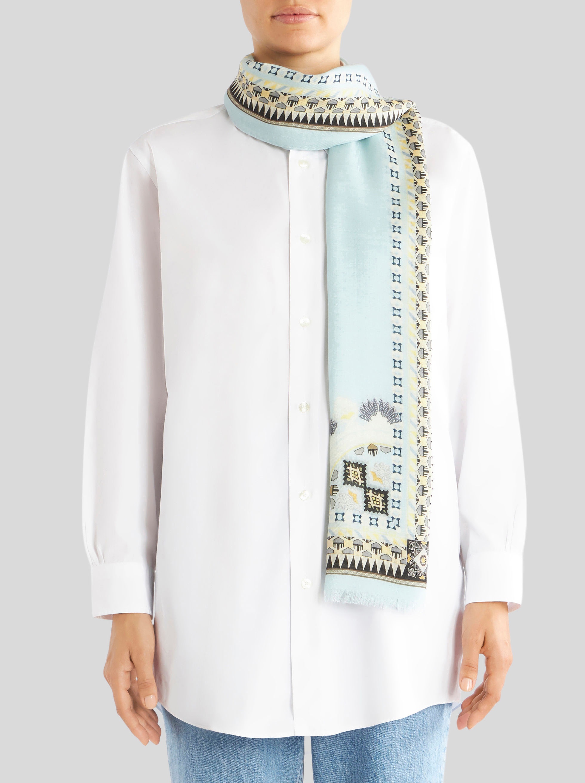 SCARF WITH GEOMETRIC PAISLEY FRAME - 2