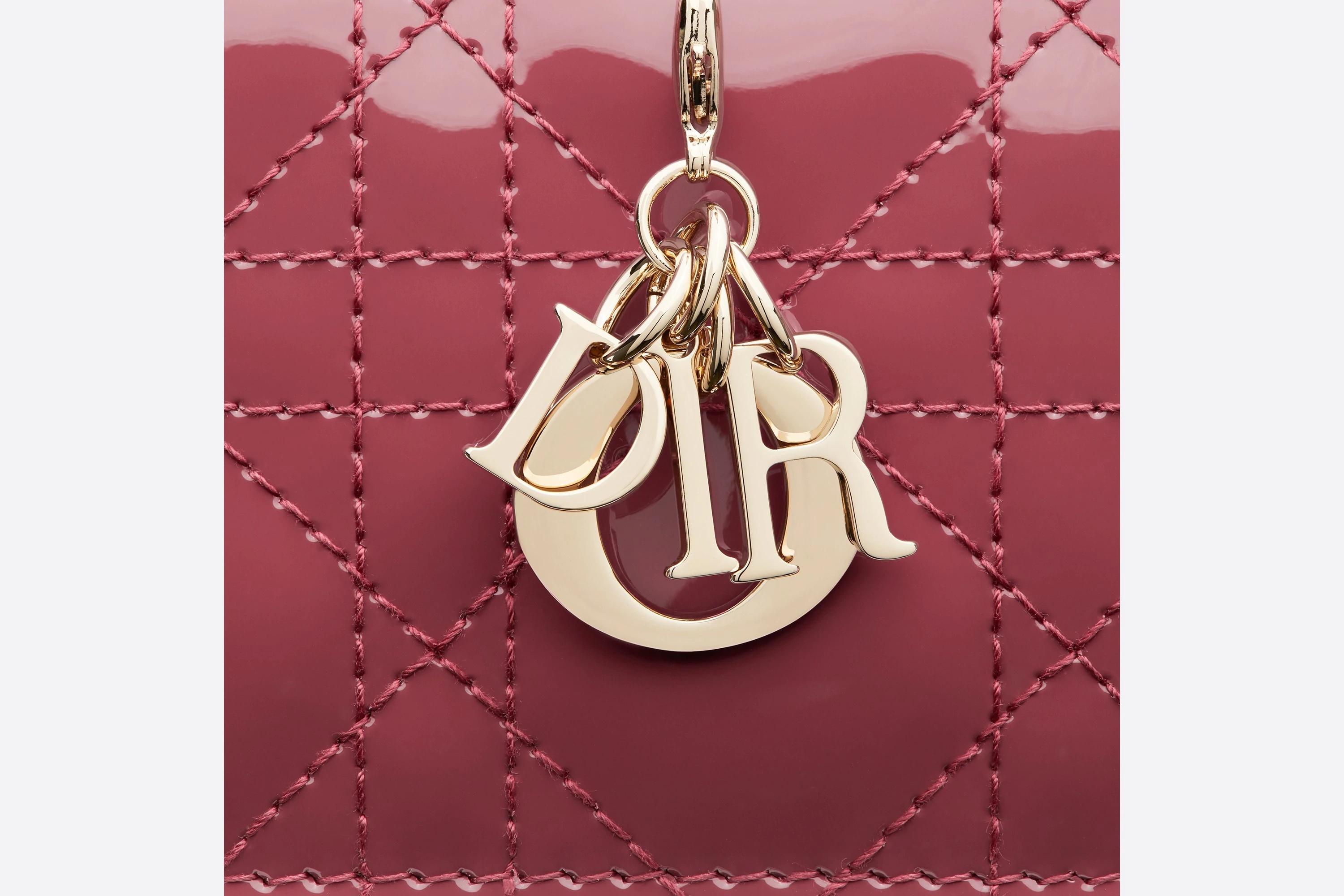 Lady Dior 5-Gusset Card Holder - 4