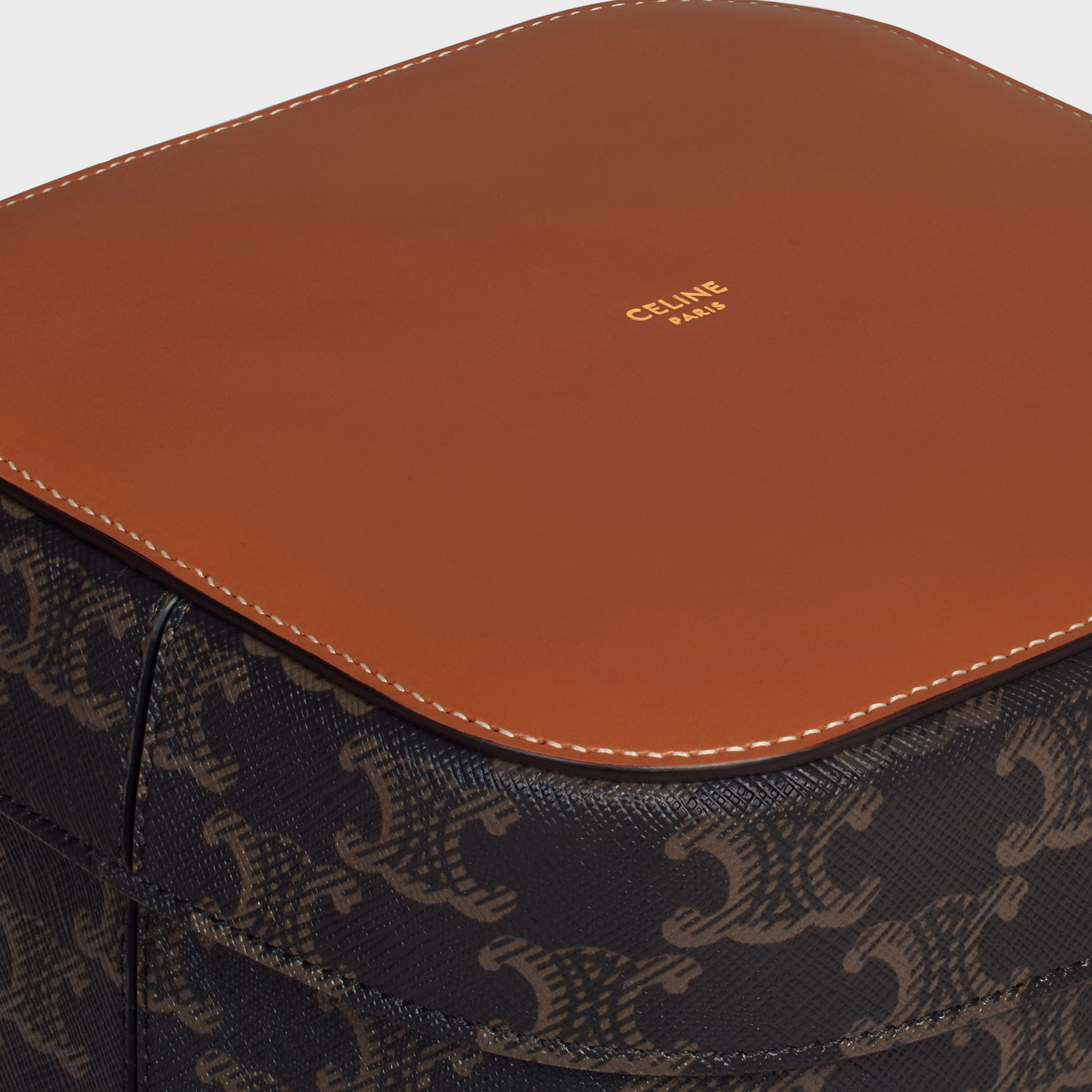 Large Box in Triomphe Canvas and Calfskin - 4