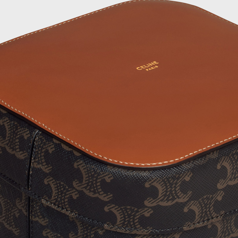 Large Box in Triomphe Canvas and Calfskin 4