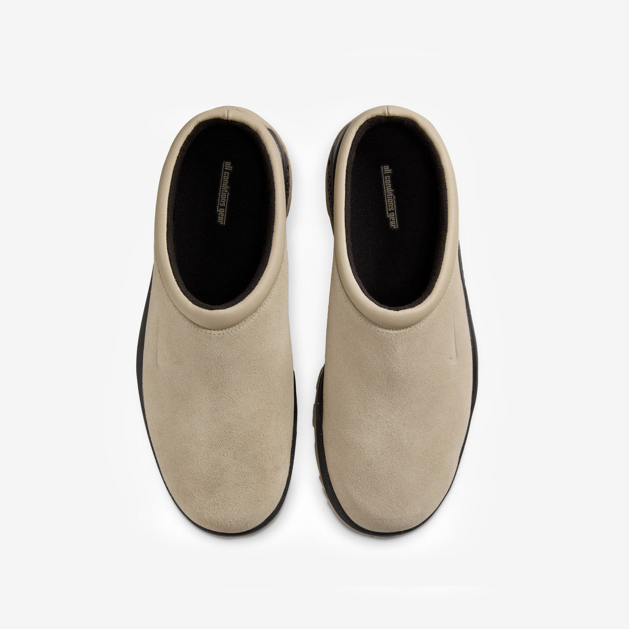 ACG Rufus - 11