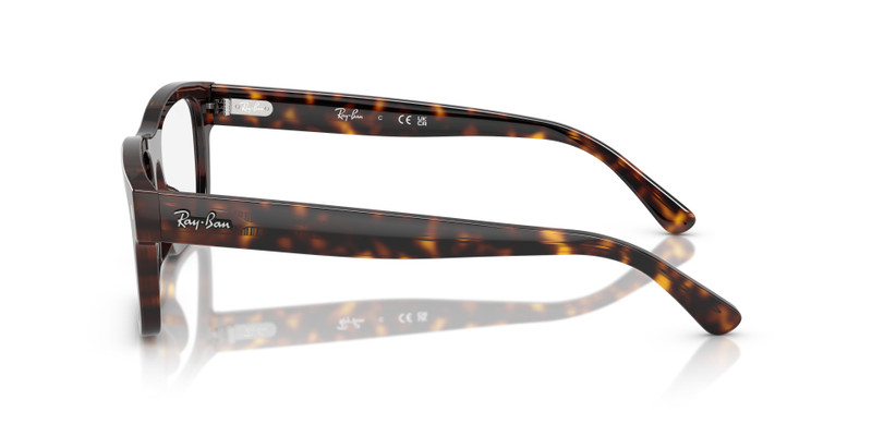 RB5435 OPTICS 5