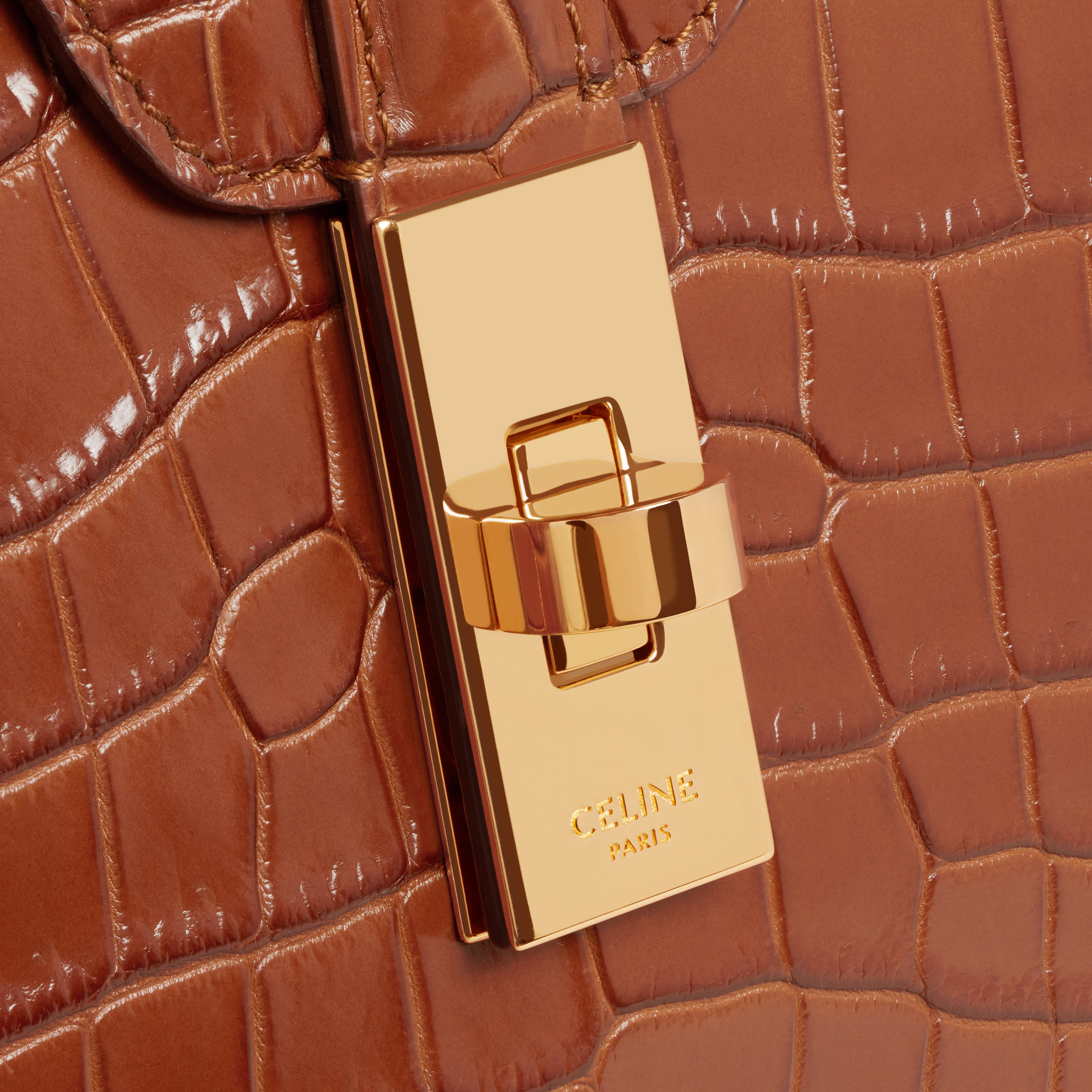 Medium Soft 16 Bag in crocodile - 5