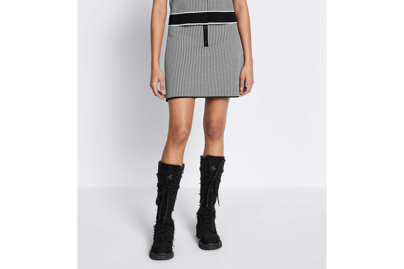 Dior Miniskirt outlook