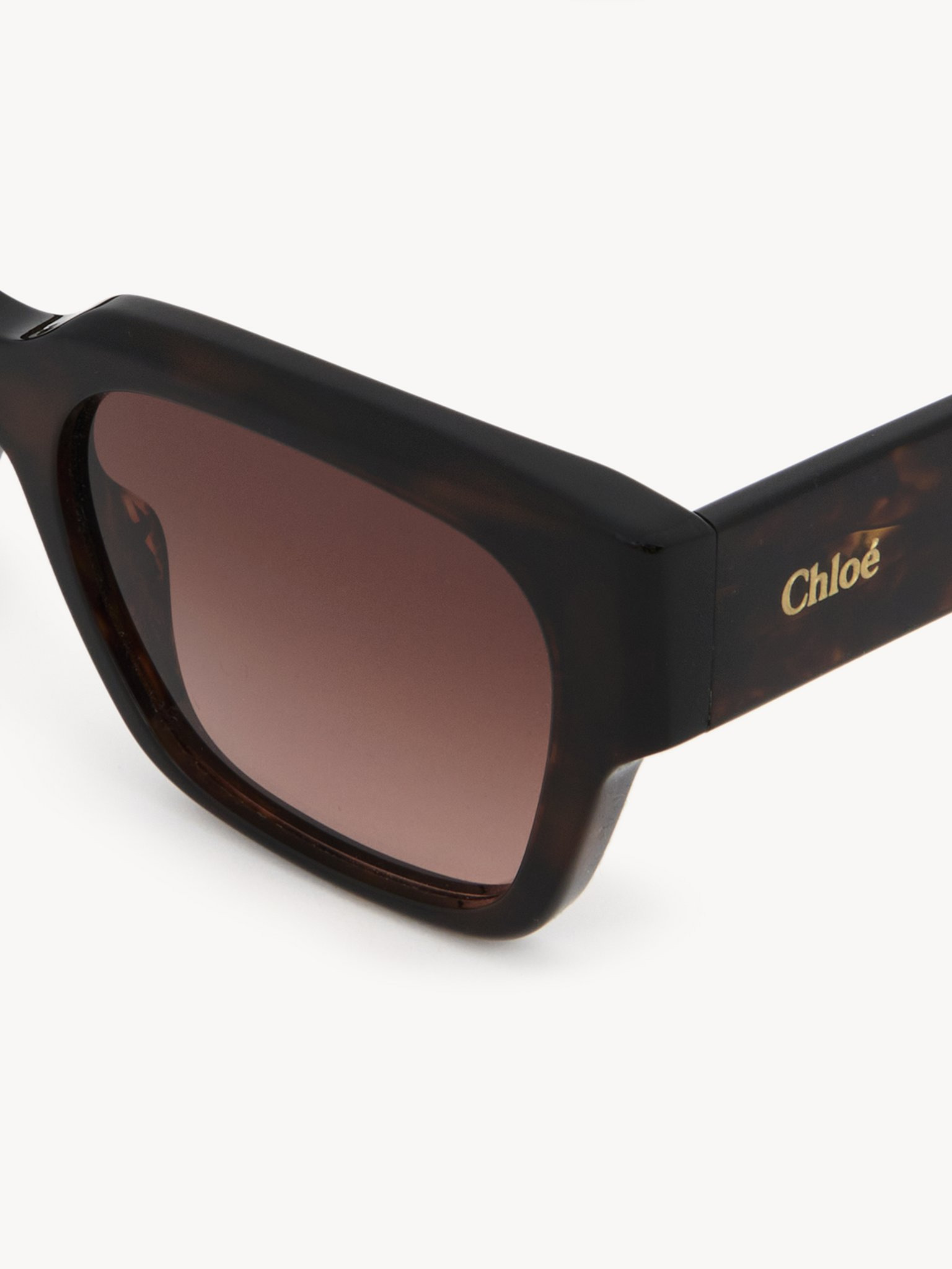 GAYIA SUNGLASSES - 4
