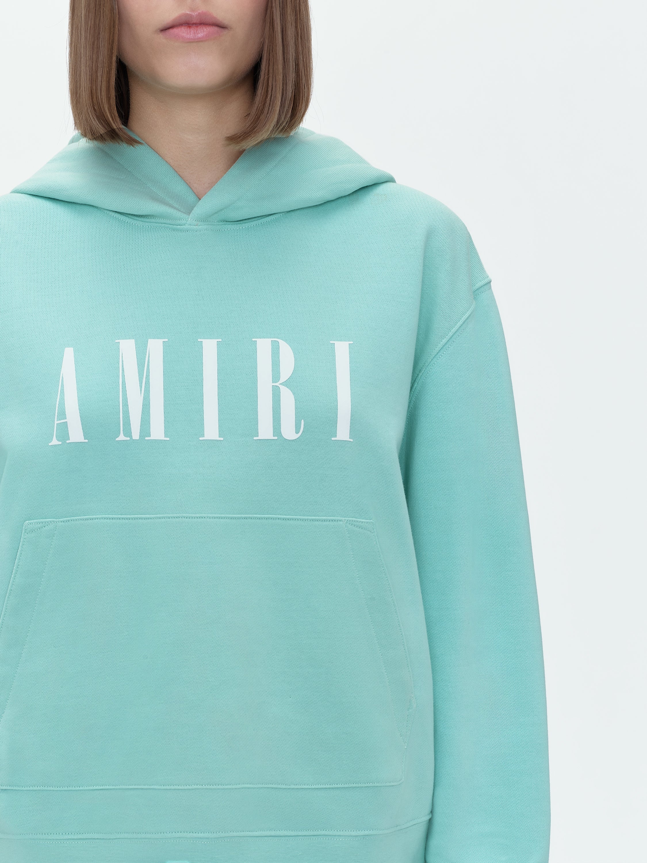 AMIRI CORE LOGO HOODIE - 5