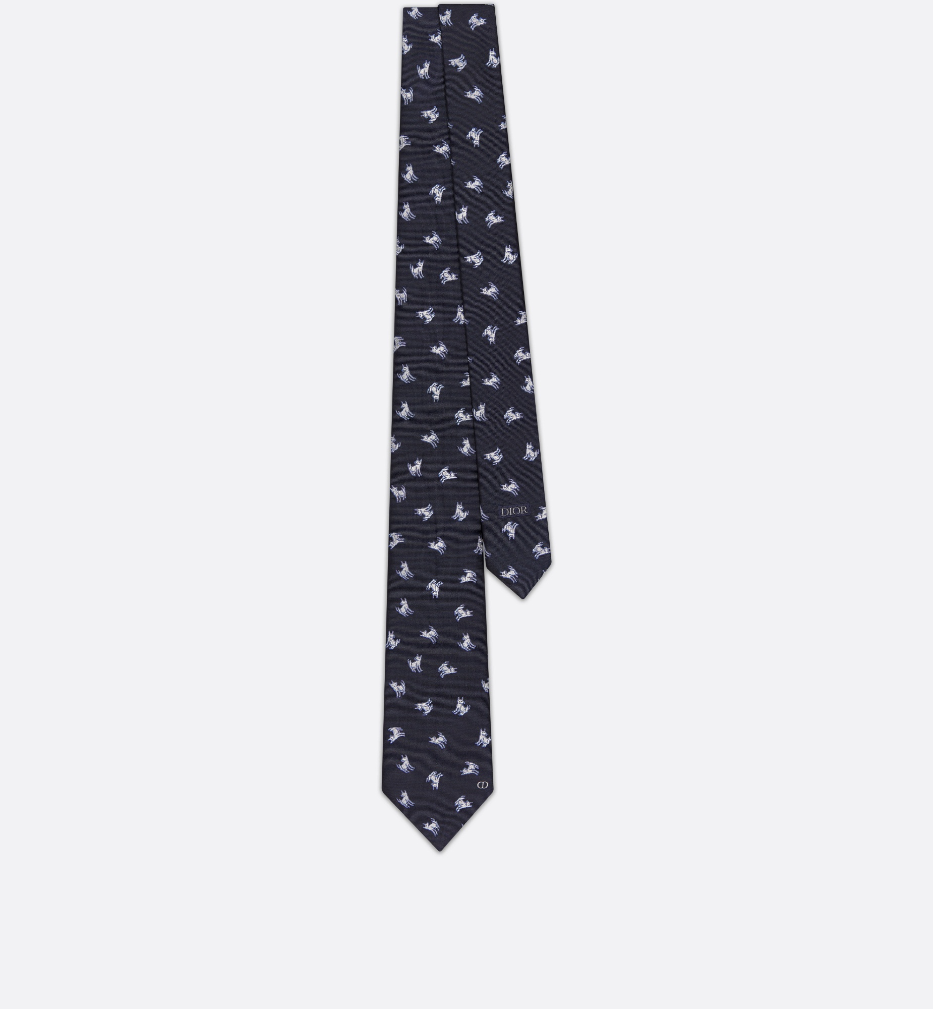 Dior DIOR AND HYLTON NEL Tie | REVERSIBLE