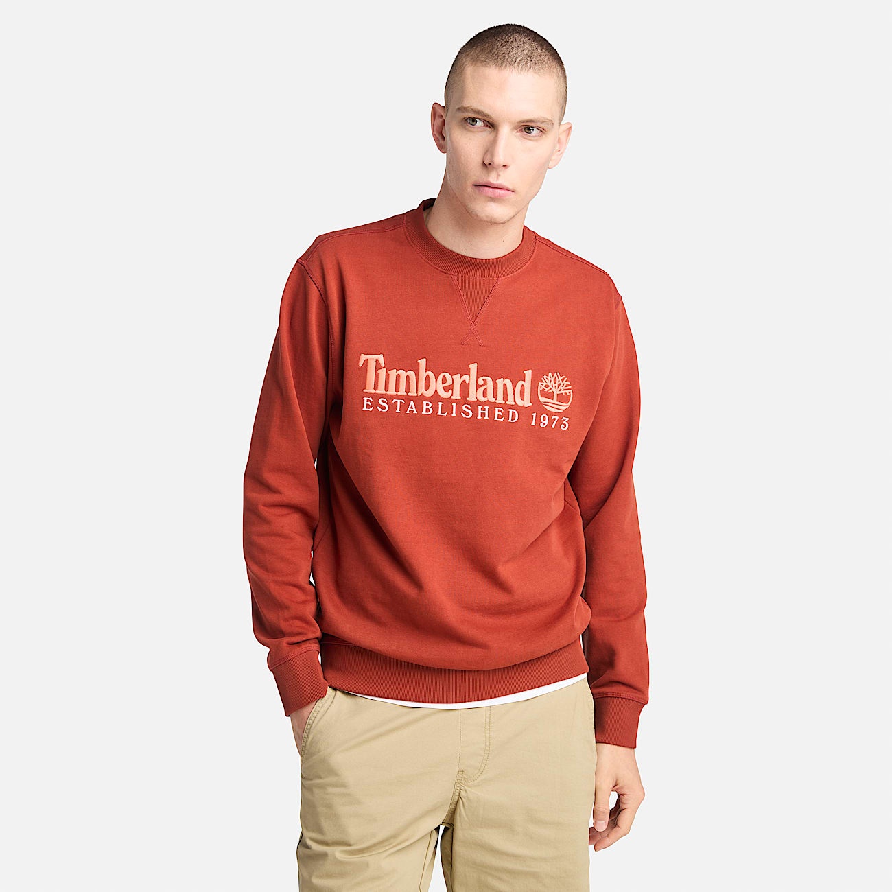 Men's Established 1973 Embroidered Logo Crew Neck Sweatshirt - 2