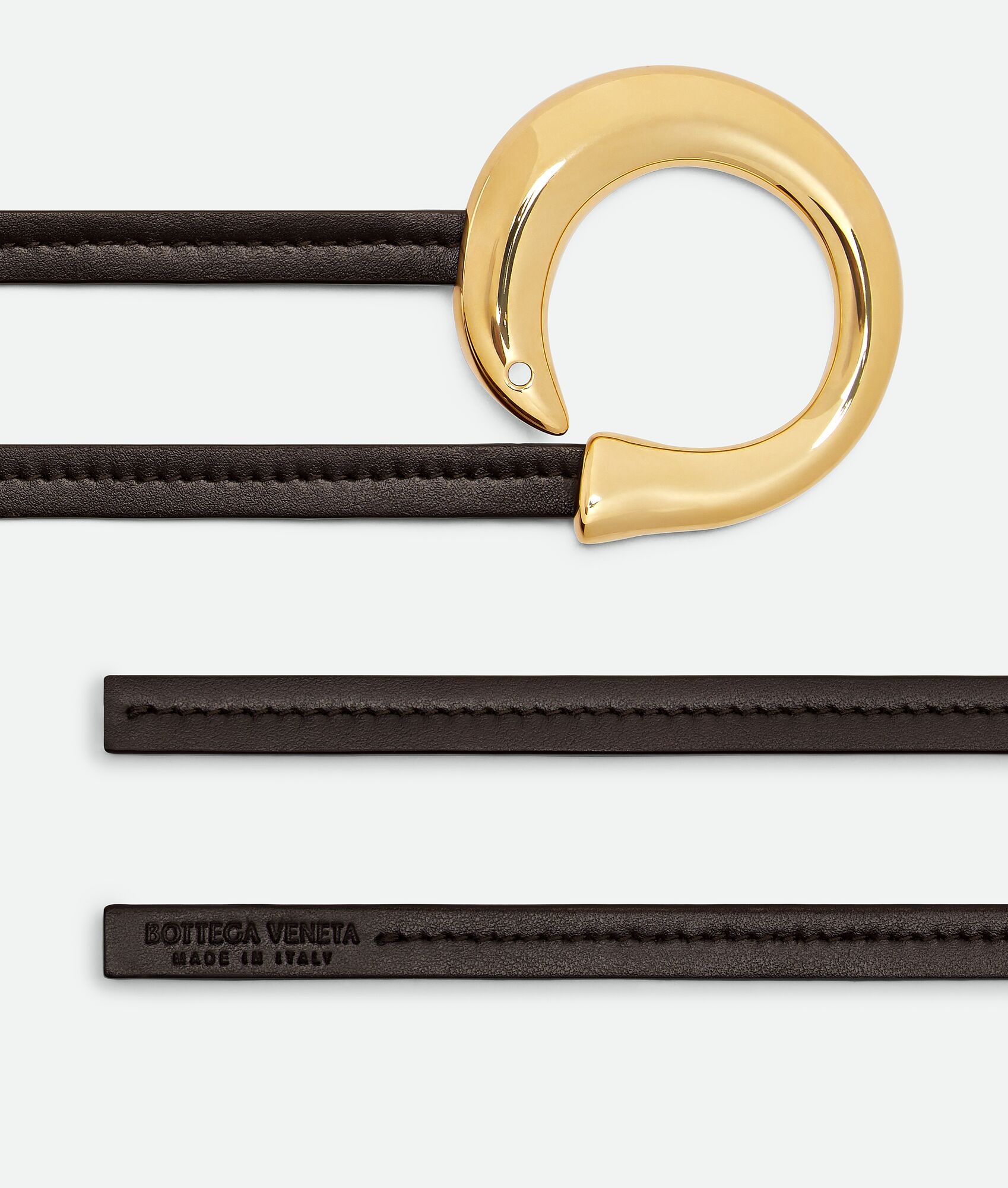 Sardine Belt - 3