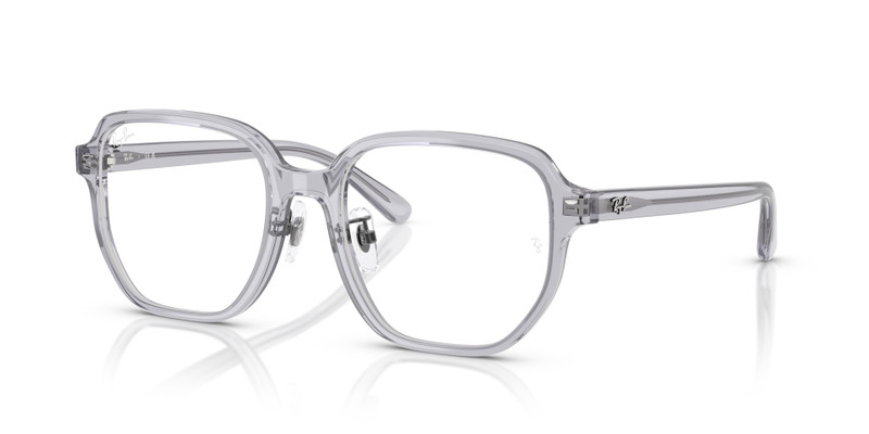 RB5424D OPTICS 1