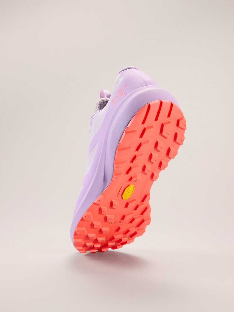 Norvan LD 3 GTX Shoe 4