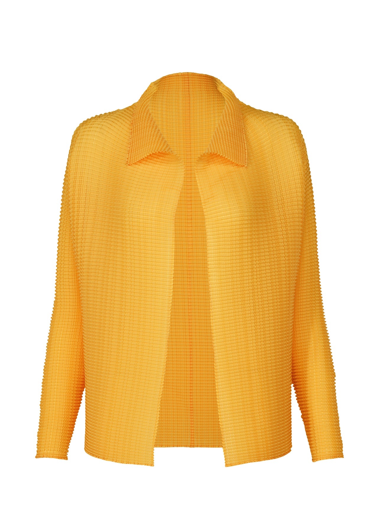 WOOLY PLEATS-38 TOP - 1