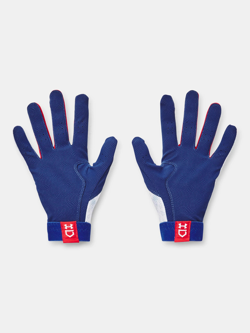 Under Armour Men's UA Clean Up Batting Gloves outlook