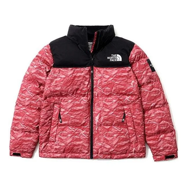 THE NORTH FACE Novelty Nuptse NJ1DM66L - 1