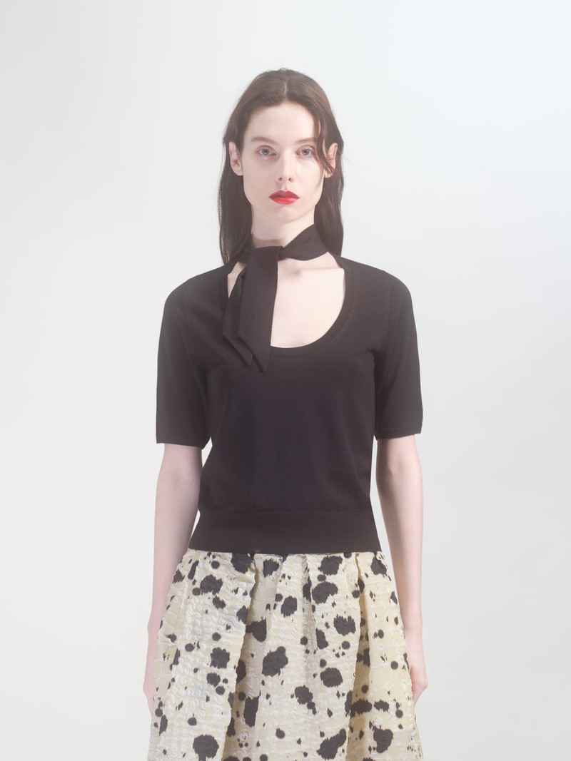 Dries Van Noten SHORT SLEEVE SWEATER outlook