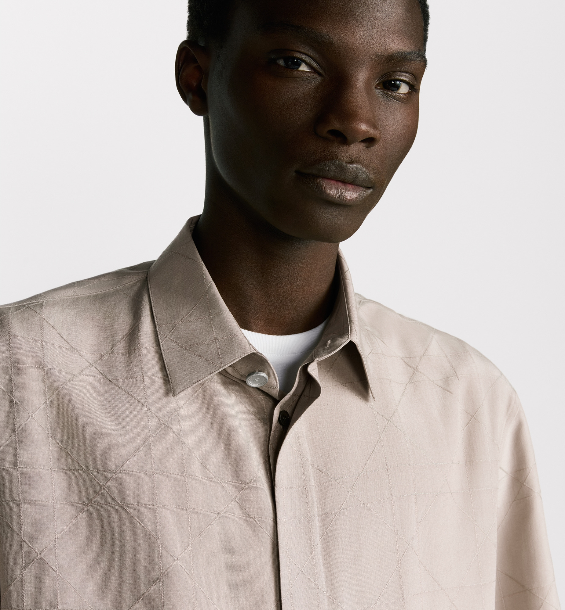 Dior Icons Short-Sleeved Shirt - 4
