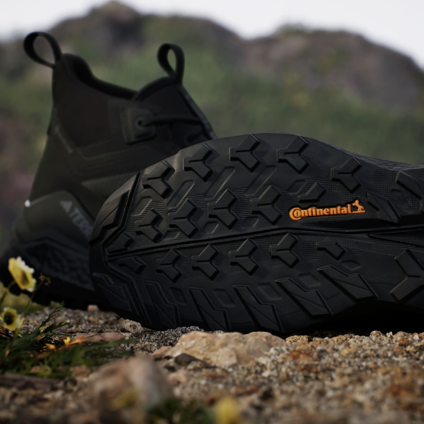 Terrex Free Hiker 2.0 Gore-Tex Hiking Shoes - 10