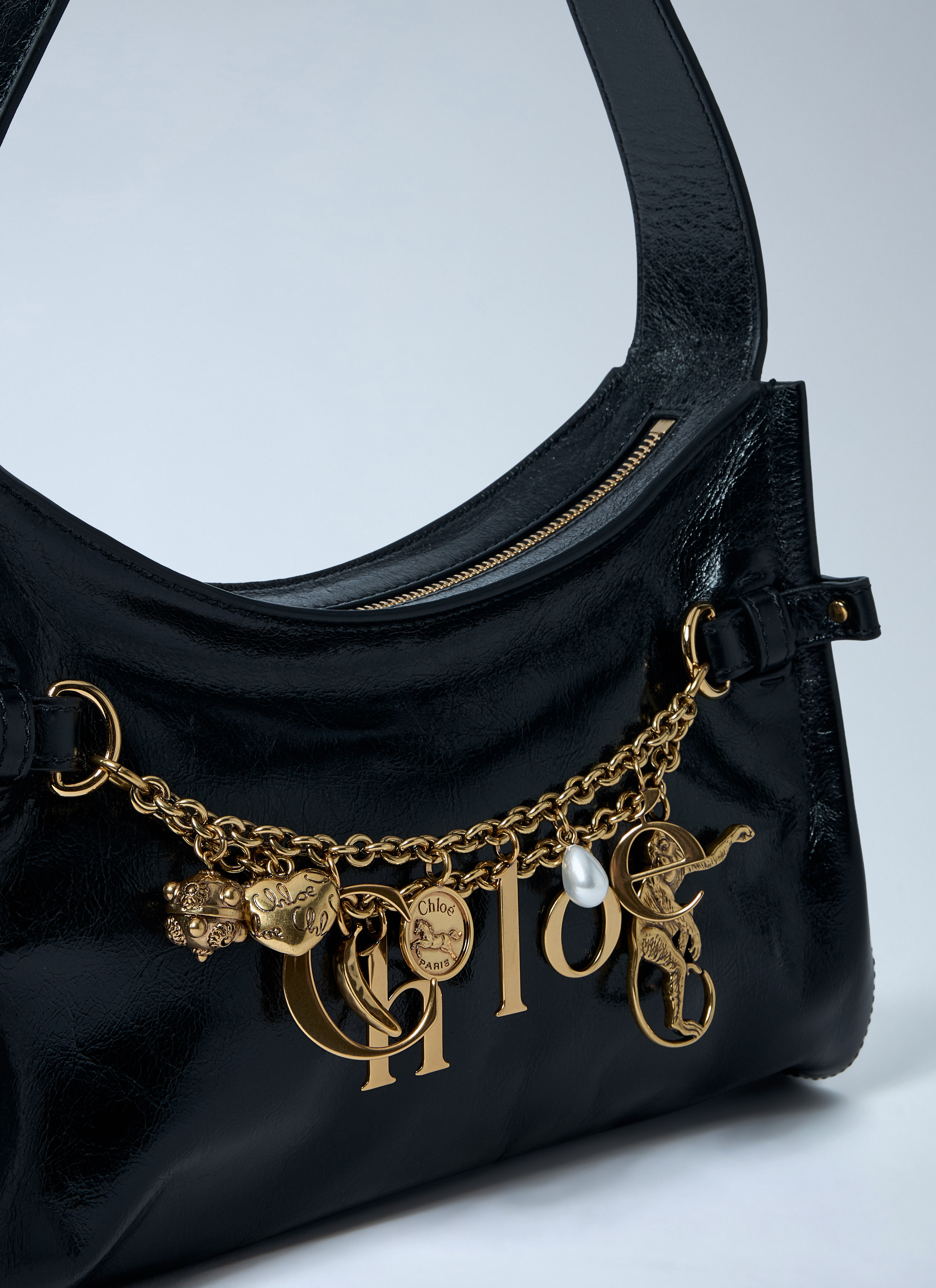 Charm Hobo Bag - 3