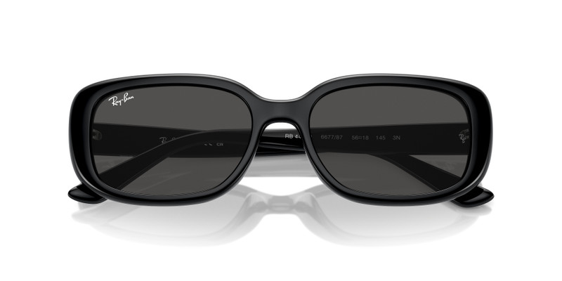 Ray-Ban RB4421D BIO-BASED outlook