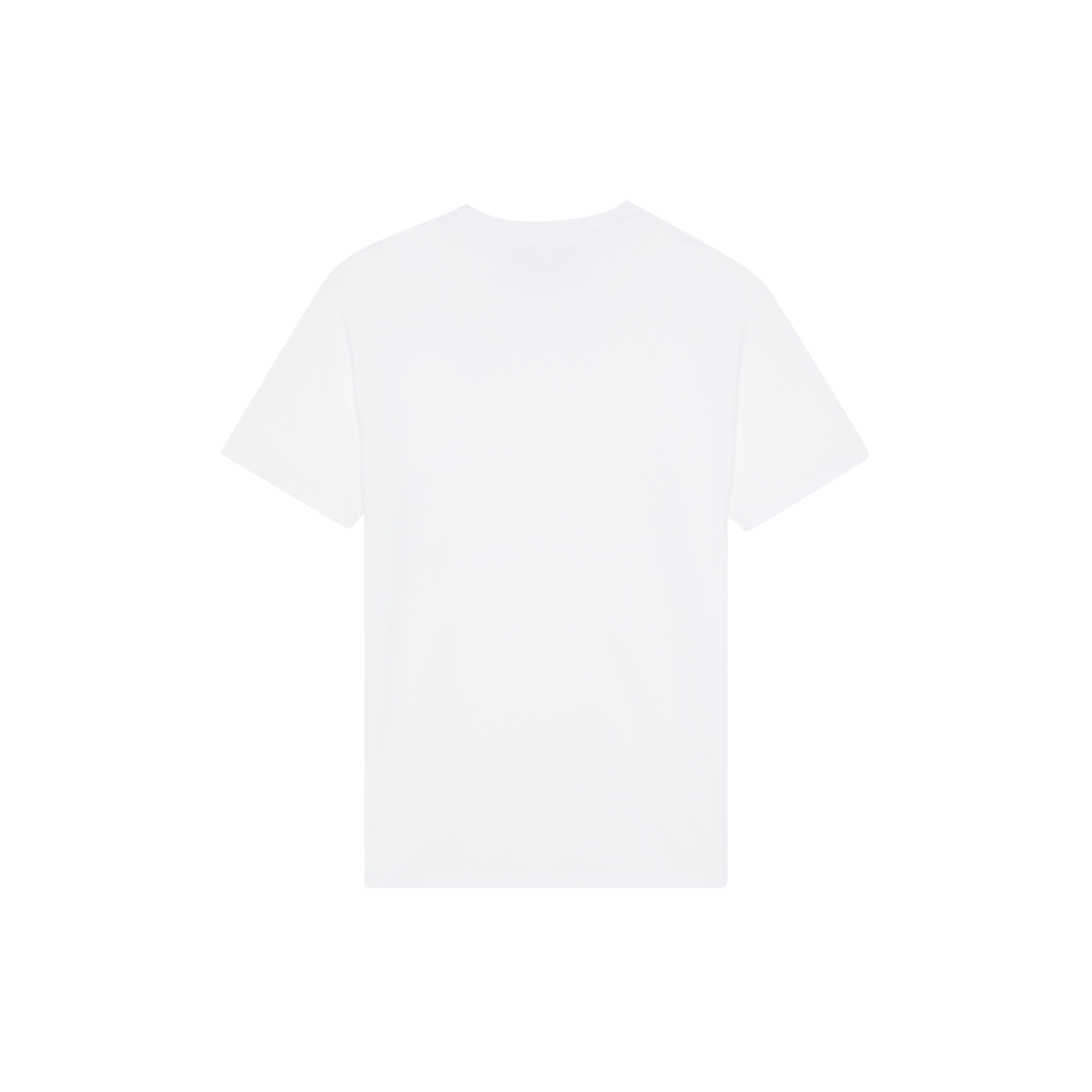 Men Organic Cotton T-shirt Embroidered Turtle - 2