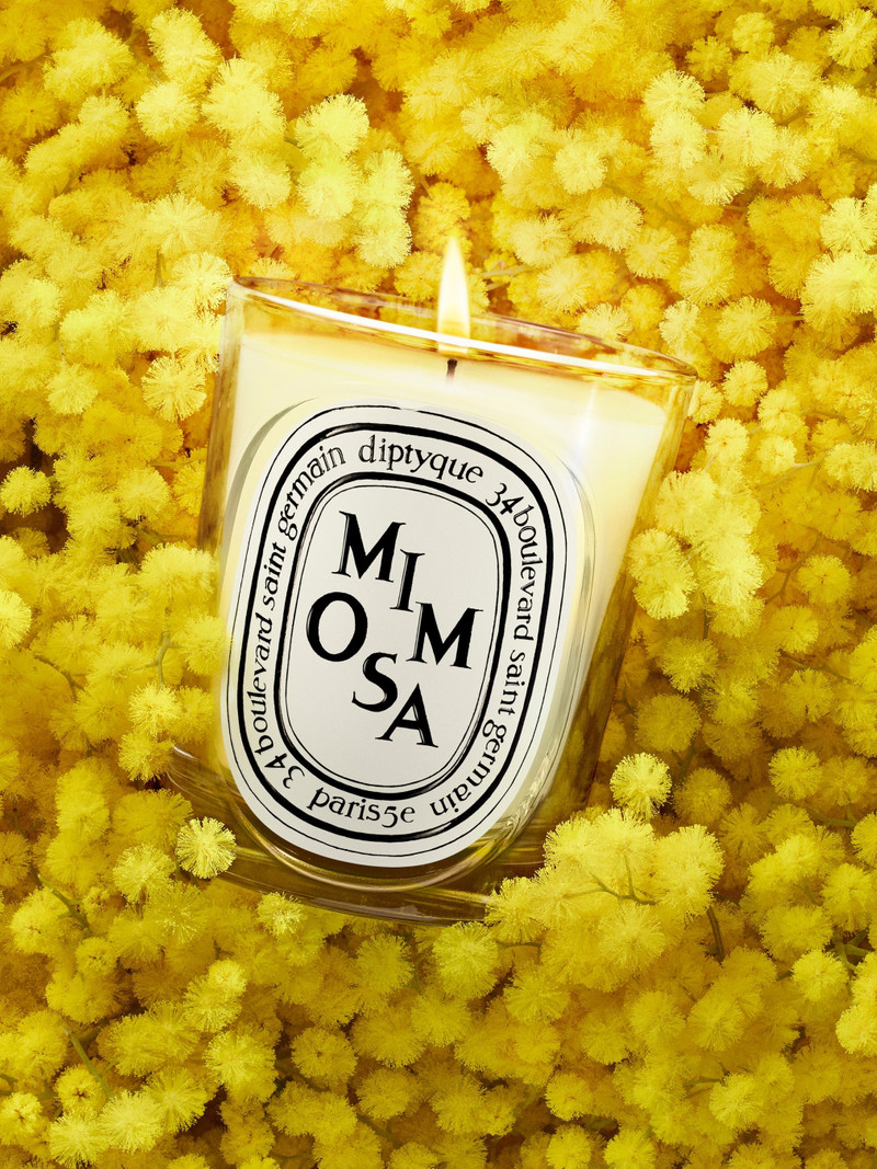 Mimosa - Refill for classic candles 3