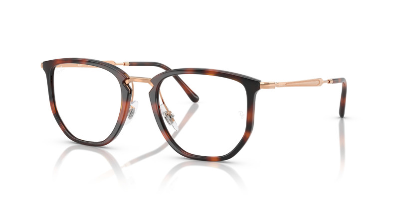 RB4451V OPTICS 1