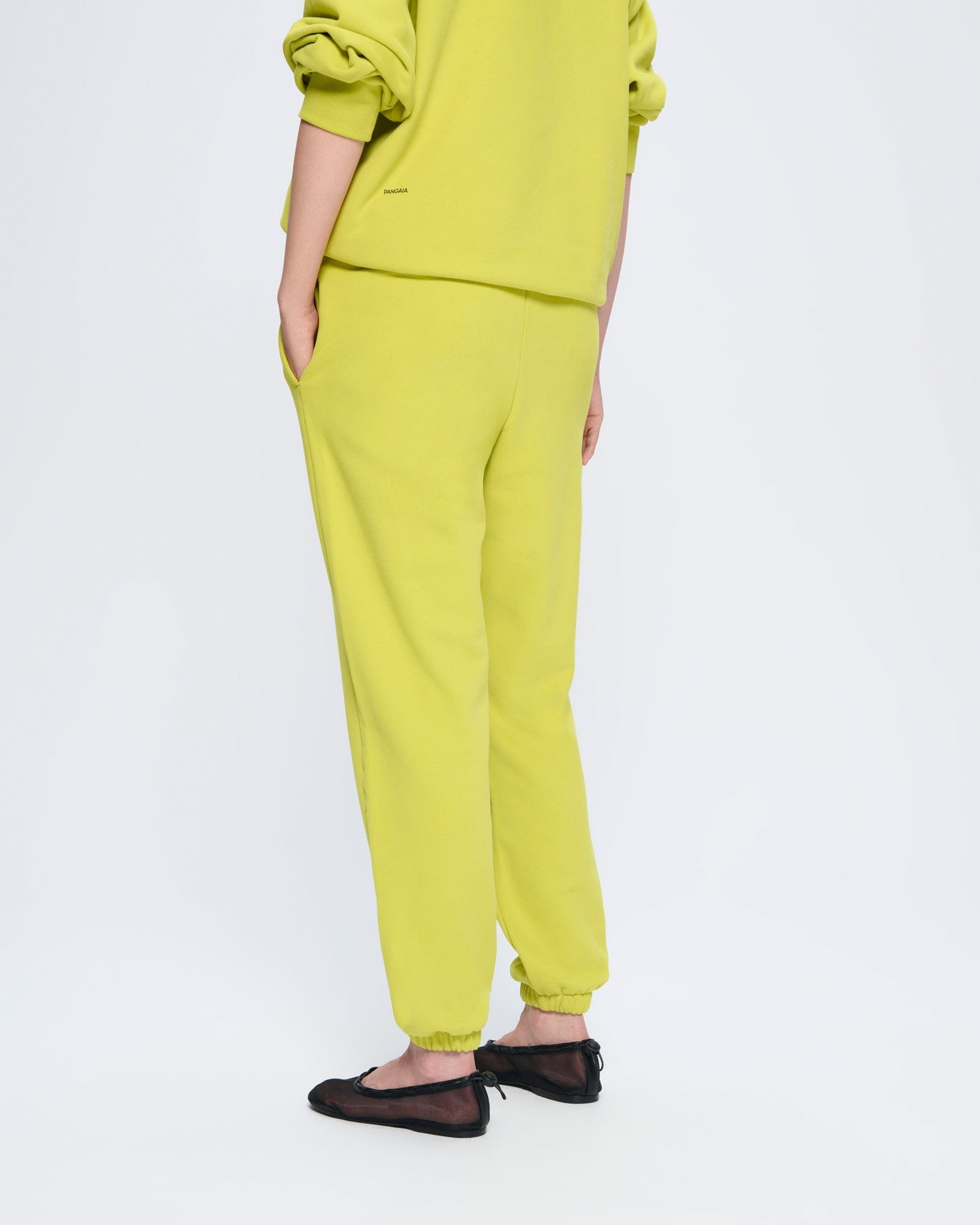 Womens 365 Midweight Track Pants - Auroral Olive - 3