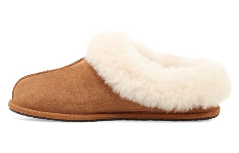 UGG (WMNS) UGG Moraene 'Chestnut' 1118981-CHE outlook