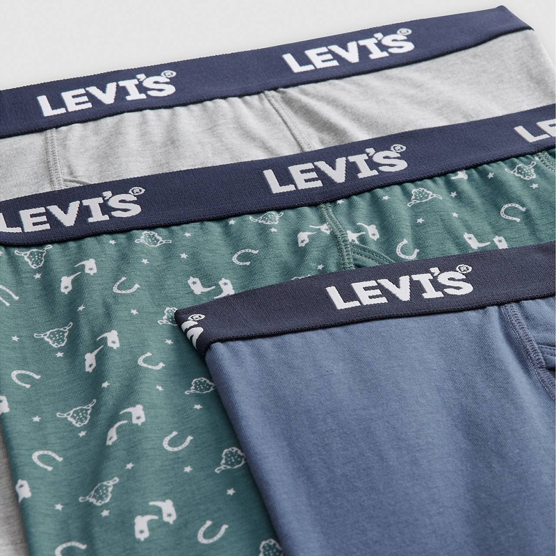 Levi's WESTERN ICON BOXER BRIEFS outlook