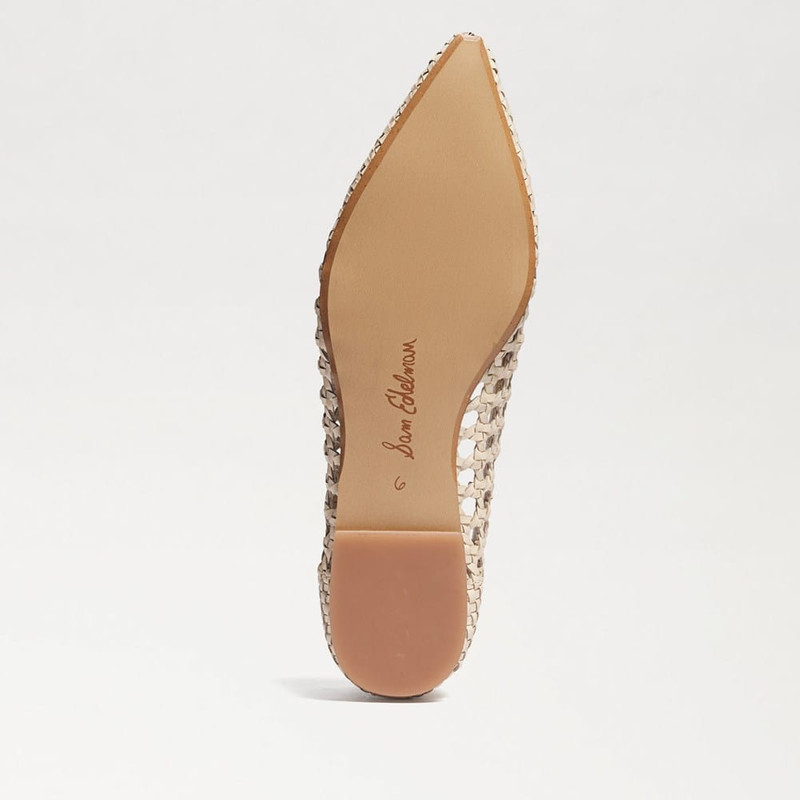 Deena Pointed Toe Ballet Flat 5