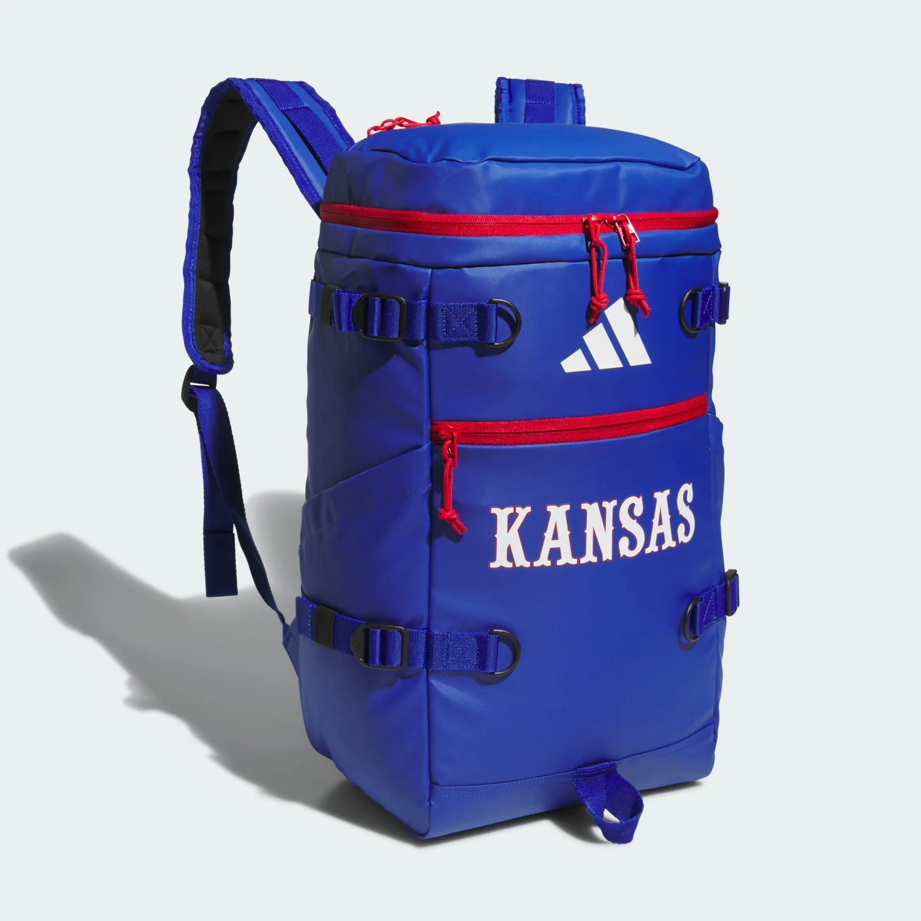 Collegiate Vista Backpack - 1