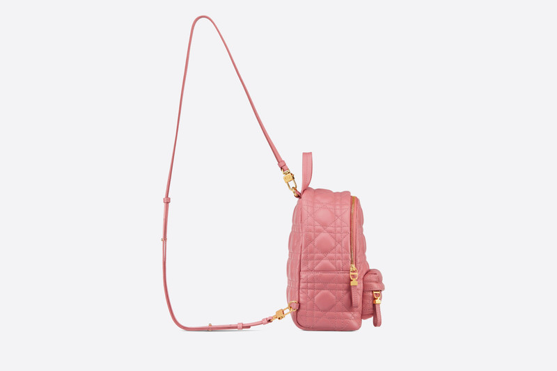 Dior Mini Dior Backpack outlook