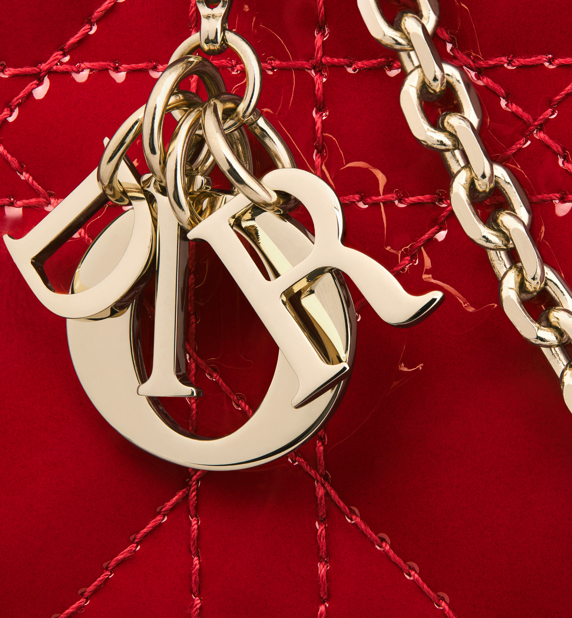 Lady Dior Phone Holder - 6