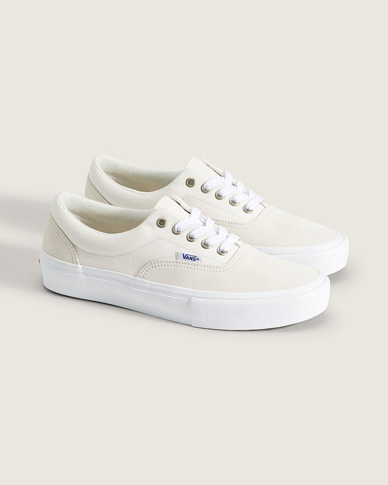Vans Skate Era Shoe outlook