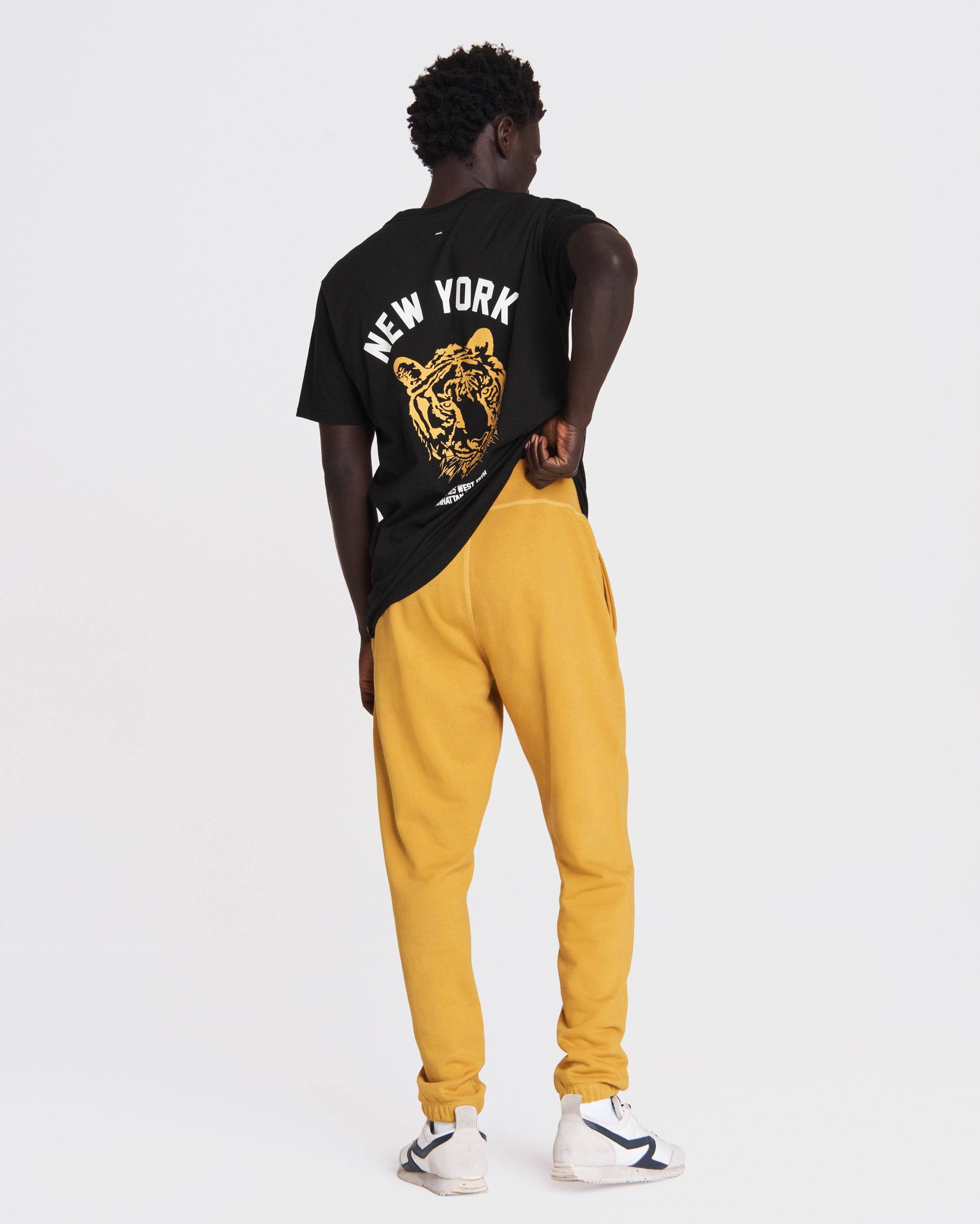 City Prospect Cotton Jogger
Relaxed Fit Pant - 5