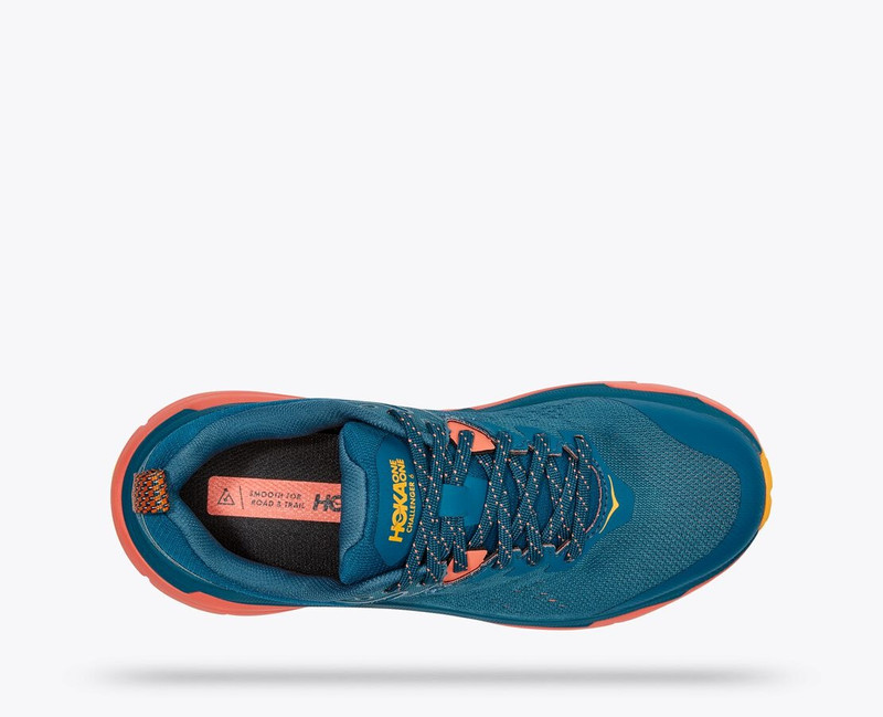 Women's Challenger All Terrain 6 GTX 5