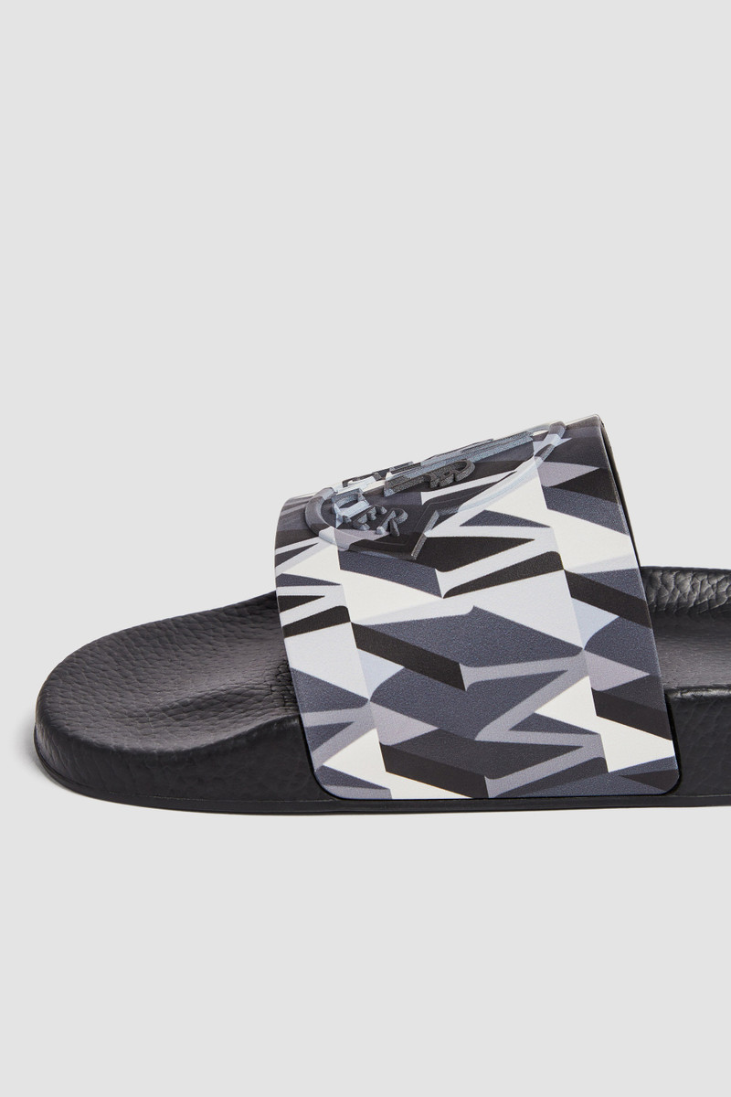 Basile Slides 3
