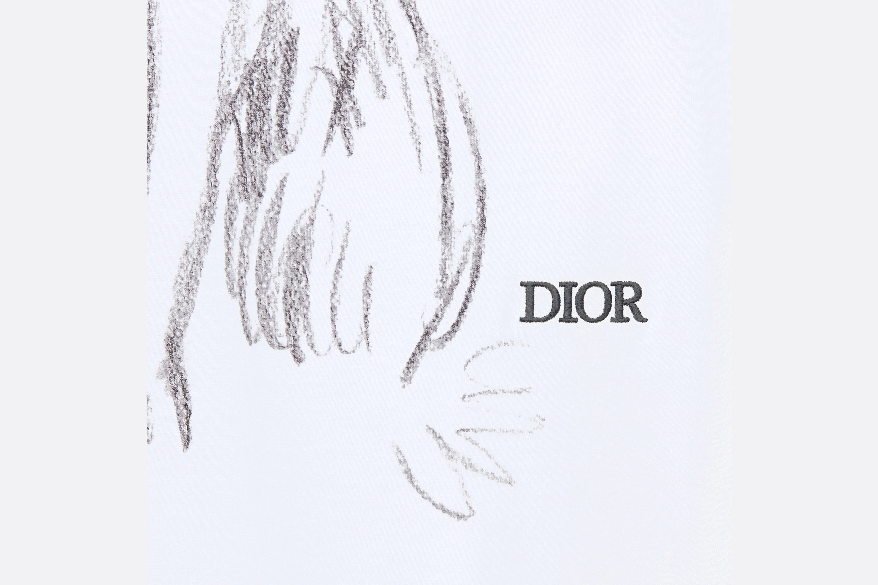 DIOR AND DUNCAN GRANT AND CHARLESTON Oversized T-Shirt - 3