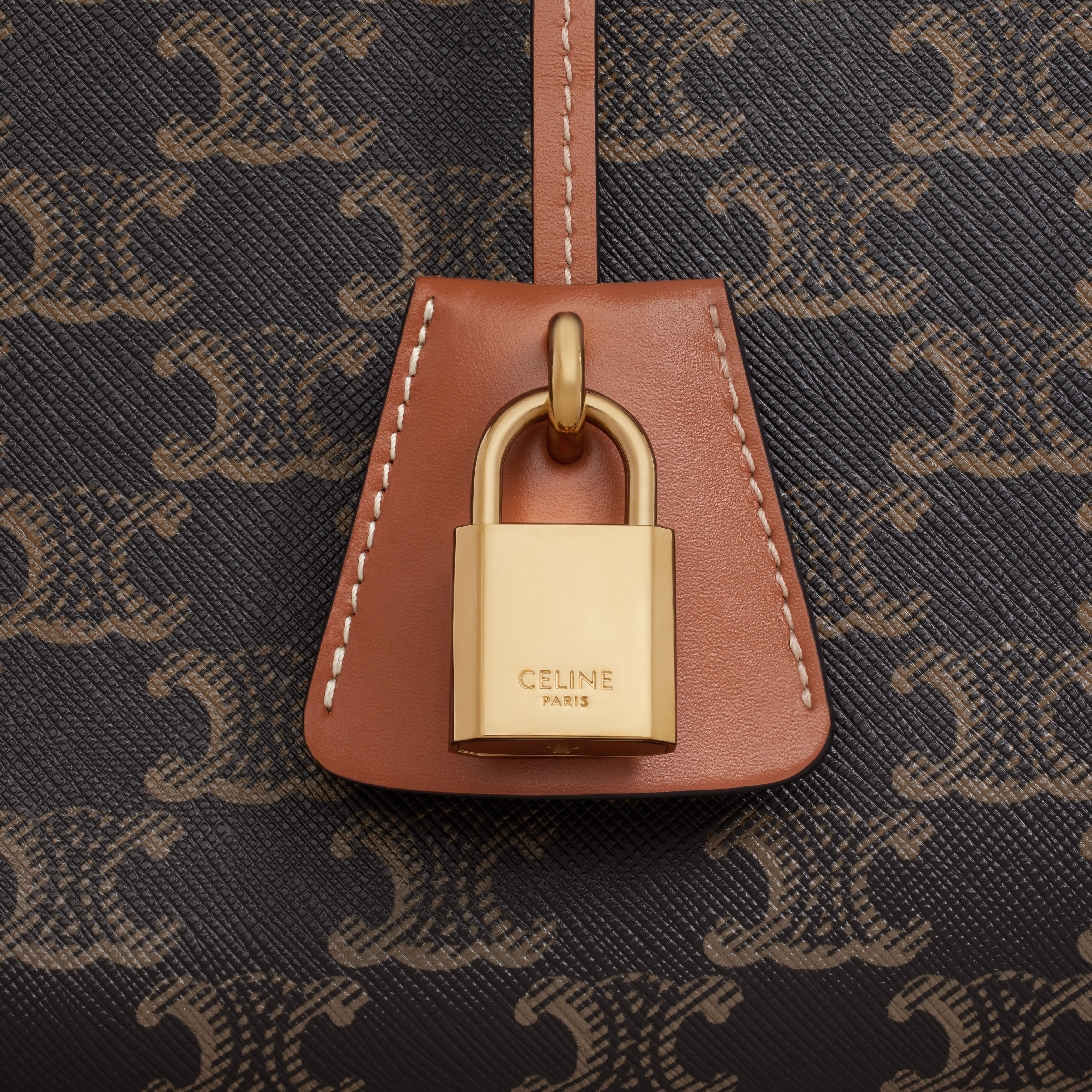 mini horizontal cabas in Triomphe Canvas and calfskin - 5