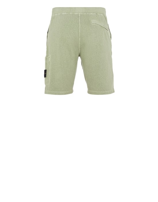 64060 'OLD' TREATMENT SAGE GREEN - 2
