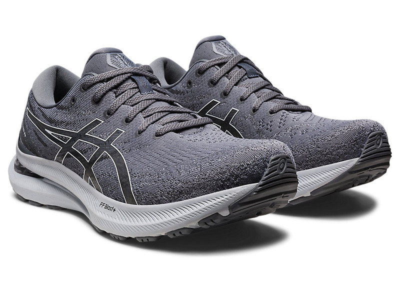 Asics GEL-KAYANO 29 outlook
