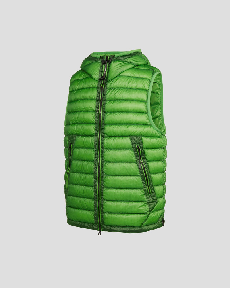 D.D. Shell Goggle Down Vest 8