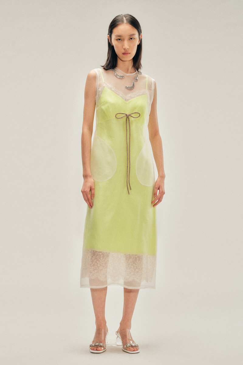 Embellished Sheer Frayed Contour Dart Dress 1