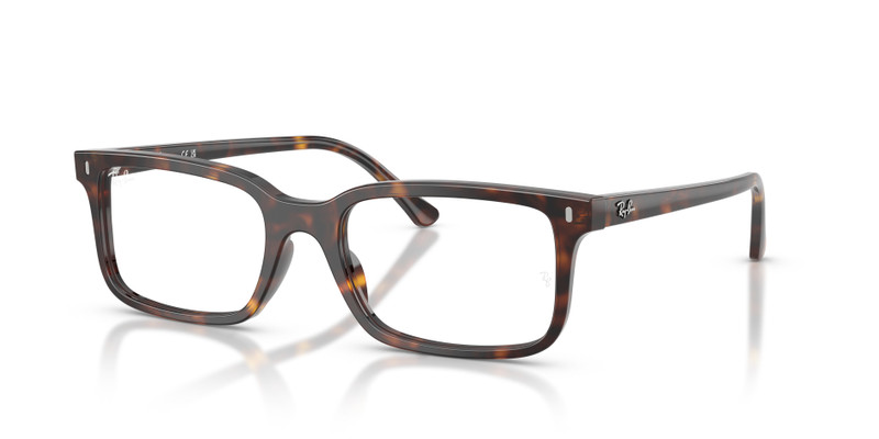 RB5445 OPTICS 1