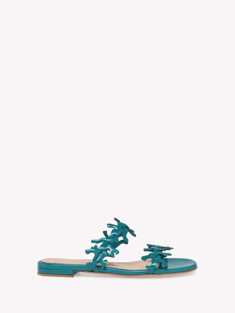 OCEAN MULE 1
