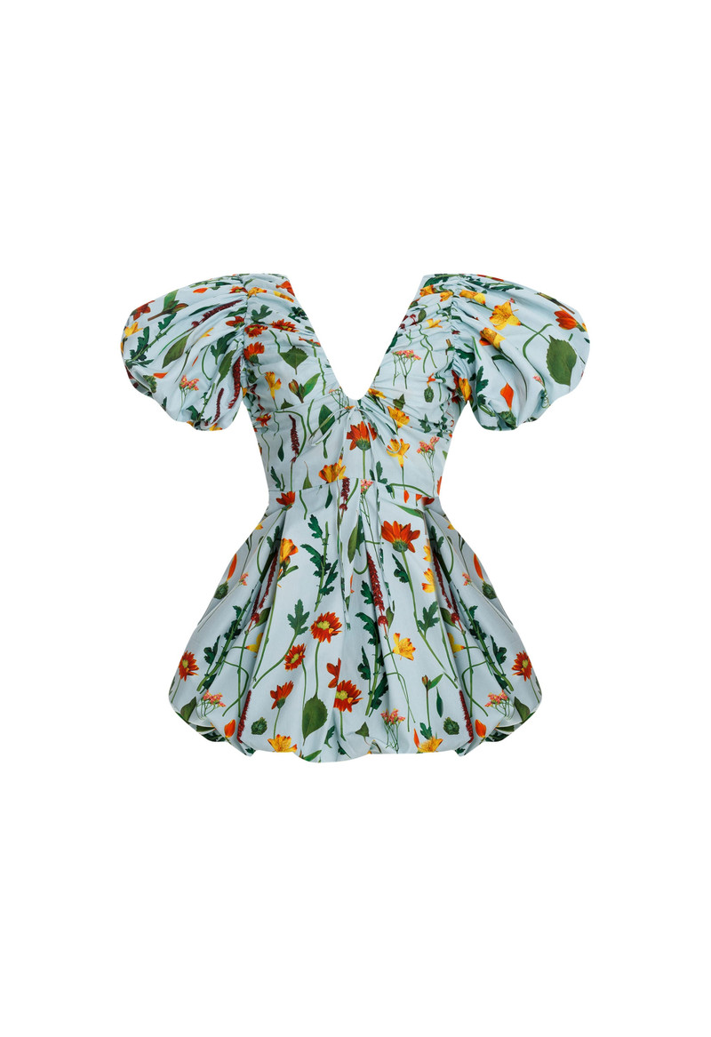 Noni Primavera Mini Dress 1