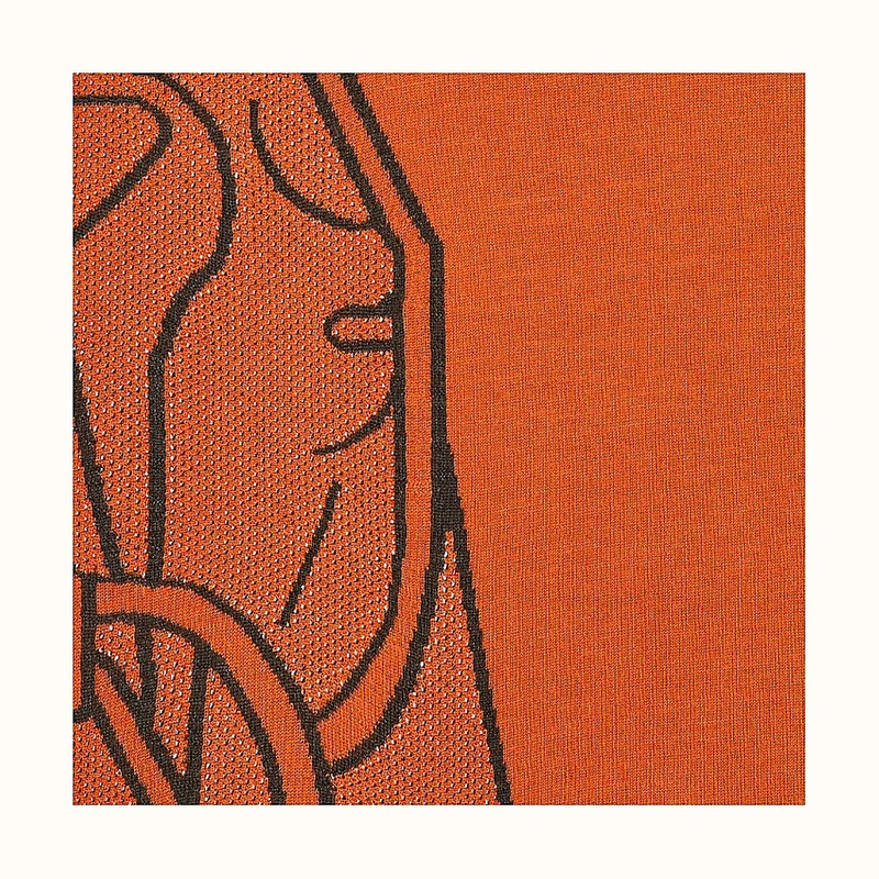 Hermès Aller-Retour Tete-a-Tete Equestre muffler outlook