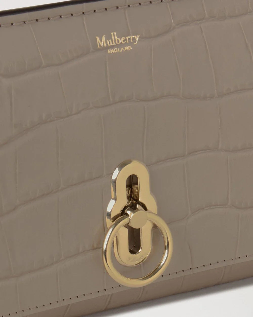 Amberley Clutch Shiny - 4