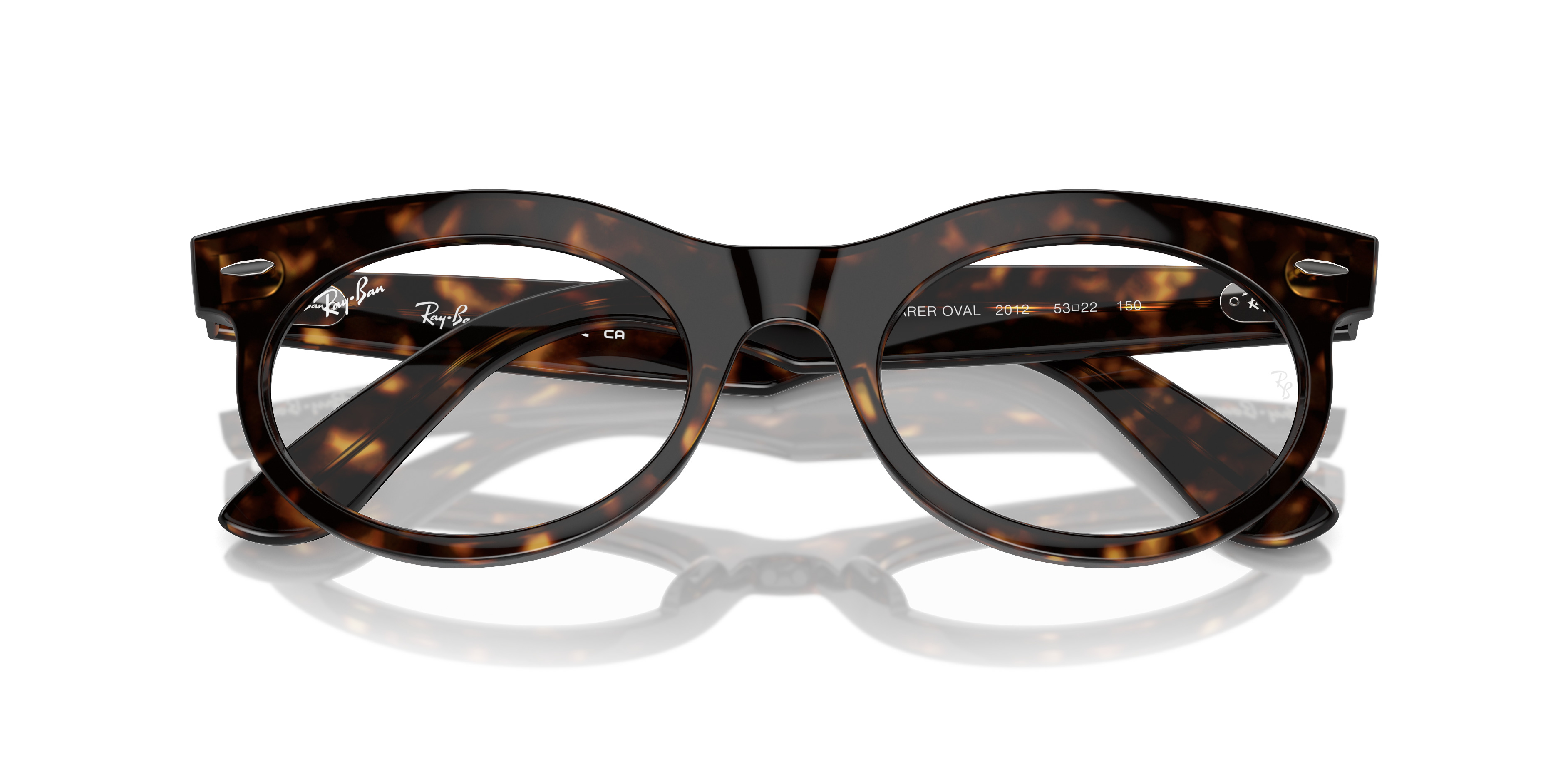 WAYFARER OVAL OPTICS - 2